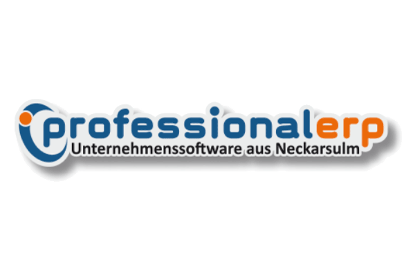 Professional ERP Logo