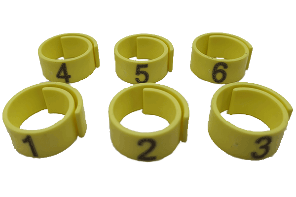 Color ring set